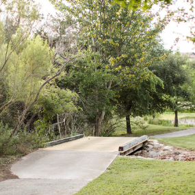 The-Hollows-Outdoor-Trails